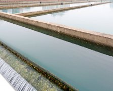 城市污水處理案例
